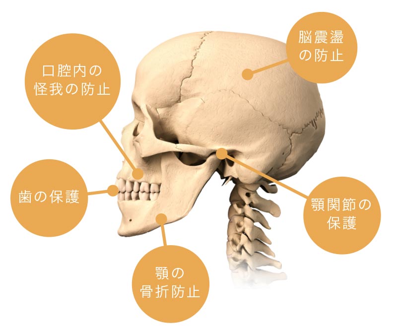 マウスガードによる外傷予防効果